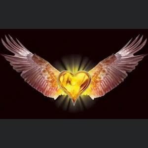 Meet your Posher, Angelica